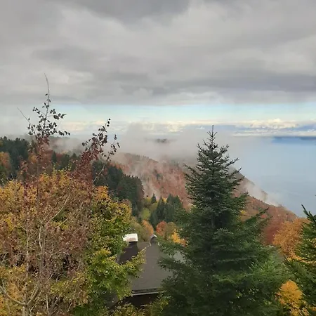 Vue Leman A 1000 Metres D Altitude *