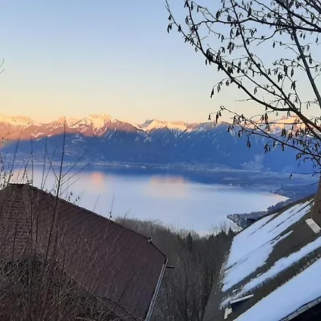 Vue Leman A 1000 Metres D Altitude